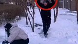 这么银杏化的设计我还是头一次见，长见识了