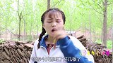 来福想吃烤全羊，没想甜甜用能吃的画笔，给他画了一只