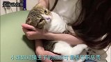 女主人赖床不起，猫咪为了让她起床做饭，不惜献上自己的“初吻”