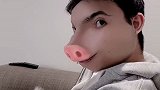 臭猪实锤
