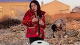 媳妇肯定是个好媳妇正不正经可就难说了