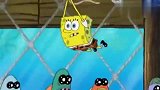 海绵宝宝：和珊迪的伪装失败了，被大怪物一眼识破！