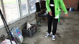 农民王小：四胞胎小羊羔，一个险些活不成，爷们成了羊妈妈