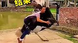 鸵鸟：你小子竟然敢偷袭我