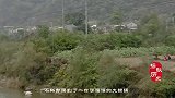 江西村民植树挖洞，意外挖出一口铁锅，专家赶来：找到陈友谅宝藏