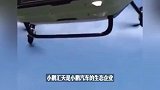 《爸爸去哪儿》村长李锐当总裁了！在迪拜拿下超12亿订单
