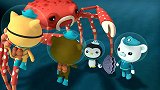 海底小纵队：小纵队碰到了刚好一百岁的蜘蛛蟹