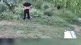 恶狗袭人，男子自卫徒手掐死