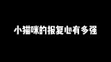 好家伙，千万不要惹发情的小母猫！