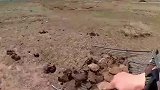 牧民捡牛粪神器，劳动人民的智慧