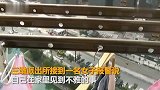 【浙江】男子用晾衣杆偷女邻居衣裤 女邻居上门讨说法惊呆了