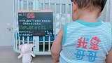 安以轩结婚纪念日宣布怀二胎预产期在年底