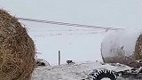 雪中战斗车拖拉机