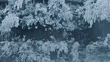 回忆天门山雪景