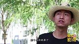 小伙用纸板车做滴滴司机，动力全靠人力拉动，真有趣