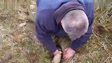 男子听到裂缝里传来叫声查看后掏出一萌物