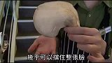 馋涎欲滴清爽饱足 欧美潮流砖饼
