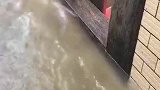 差一点这水就淹到我们家了，哈哈！