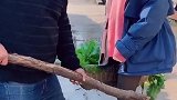 没人要内心崩溃，求安慰
