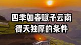 最美的春天都在这里了