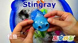 乐享动物乐园带你认识深海魟鱼与呆萌海龟