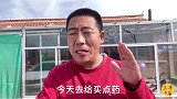 农村趣事多，三丰今天不做饭，做一回牛医生，来看看发生了什么事