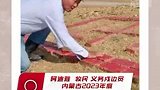两代牧民接力戍边 用红砖在国境线上写下“中国”