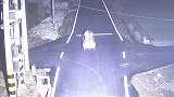 江苏扬州：无语！邻里相约竟去偷鸡，被民警“守株待兔”