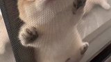 找最可爱的女孩子来看吧