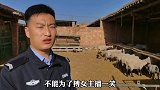 宁夏一男子为打赏女主播，博其一笑，竟然偷偷贱卖母亲12只羊。民警提醒！
