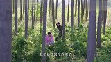 总裁和小娇妻又秀恩爱了,满屏都是狗粮,不建议单身狗看!