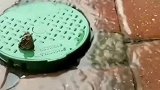 问君能有几多愁，恰似井盖卡蛙头