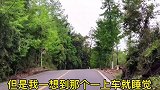 一定要看到最后