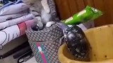这地盘我占完了不知道啊