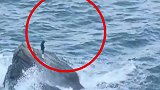 男子海边钓鱼遇涨潮被困礁石，风大浪急非常危险