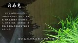 司马光因砸缸救人出名，但被他救的那个人，你知道是谁吗