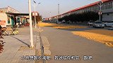 去姥姥家的路上晒满了玉米，不好走，小马要步行跑过去