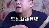 现在养个猪都搞起了猪脸识别？芬钛计划 智能猪场  养猪