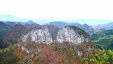 贵州3个男子不吃不喝，在荒山野岭守了一夜，就为了拍这个