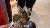 狗子 -你这样引诱我，我没法矜持啊！