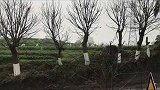 四川 从小长大的地方 四川泸州妹儿 说的对