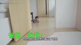 小宝宝午睡醒来满房间爬找爸爸，终于发现爸爸后，小娃的反应太逗