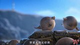 四川方言配音：如果动物界都是胖子！