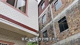 小鹦鹉失踪一个晚上，小伙把其它小鹦鹉放楼顶叫，小鹦鹉飞回来了