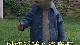 暖阳下我迎芬芳，那是谁家的姑娘！