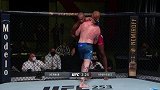 UFC格斗之夜177：埃德-赫尔曼VS迈克-罗德里格兹