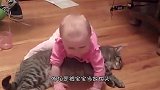 小主人出生后，猫咪是操碎了心，看完你还想养猫吗