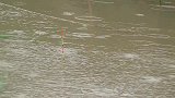下雨天钓鱼，鱼口真是太好了
