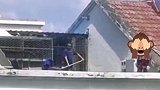 男子顶楼养鸽子，还直接高空抛粪