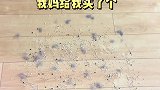 养猫家庭如何打扫卫生